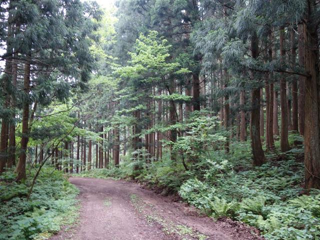 2e70c141.jpg (640×480)