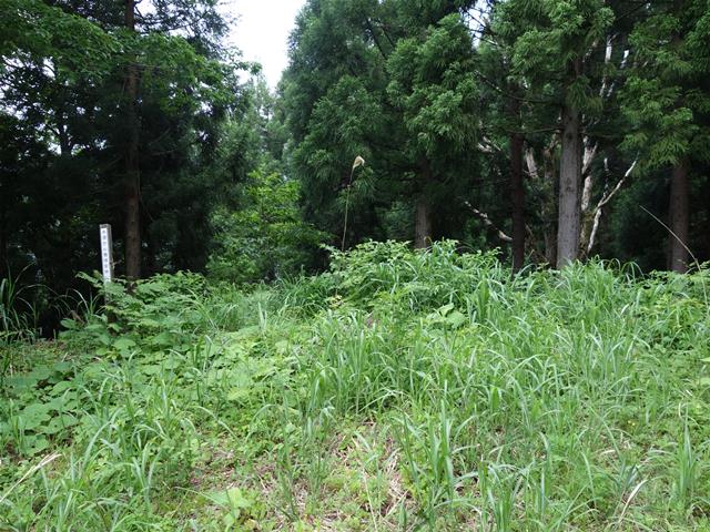 3efd0494.jpg (640×480)