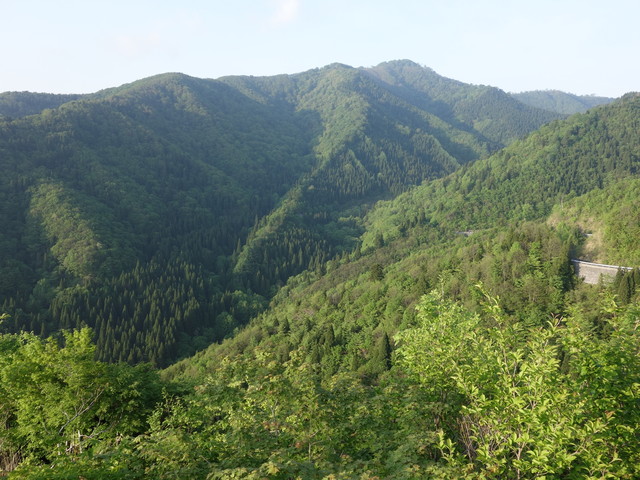 412e2406.jpg (640×480)
