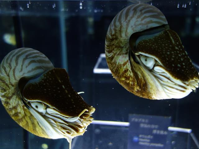 531f69b2.jpg (640×480)