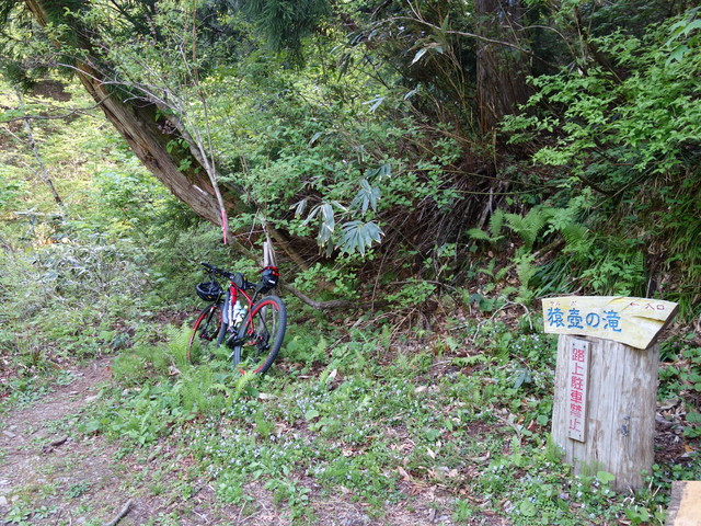 6ffacace.jpg (640×480)