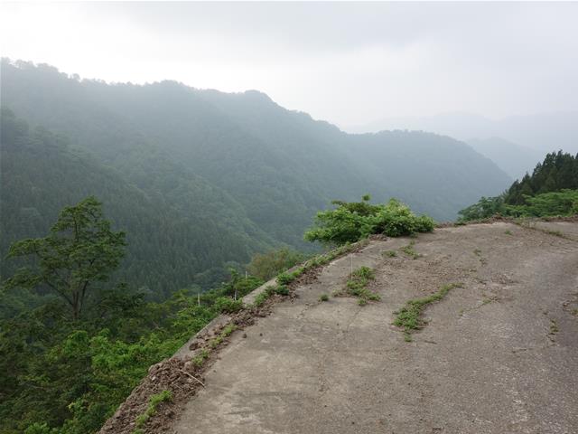 746d7f6e.jpg (640×480)