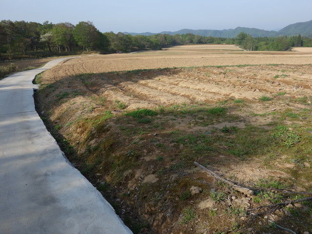95ad5fd0.jpg (640×480)