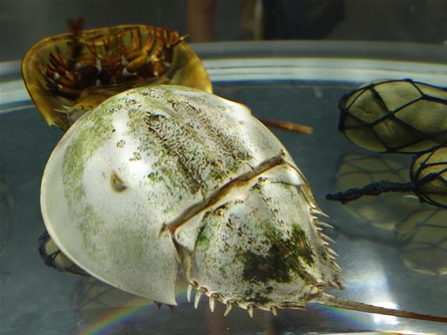 a731b8d9.jpg (640×480)