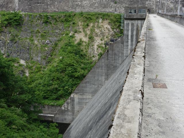 b321e590.jpg (640×480)