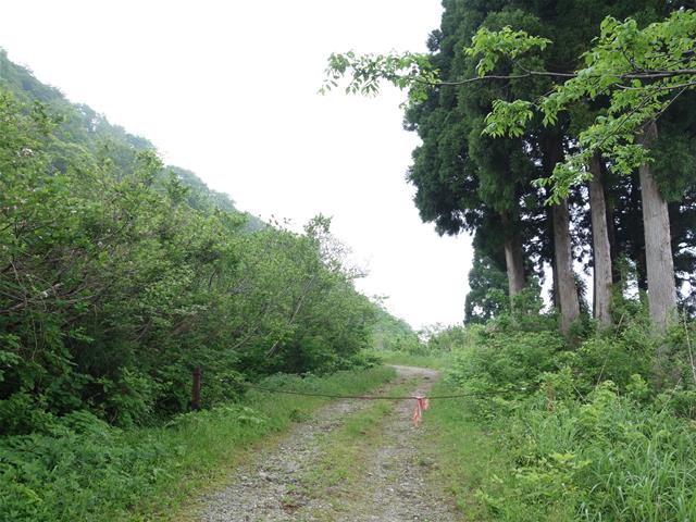 d4a50c8a.jpg (640×480)