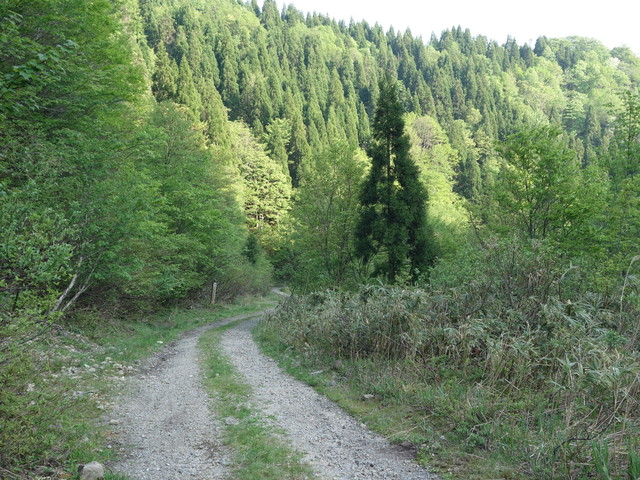 d5bf5da1.jpg (640×480)