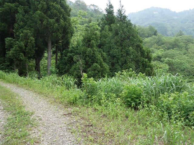 db148b28.jpg (640×480)