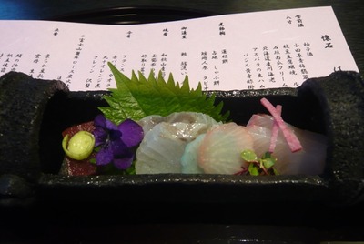 P1100029