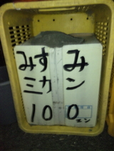 96c08393.jpg