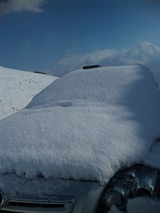 fd342713.jpg
