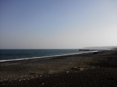NCM_1987