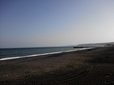 NCM_1995