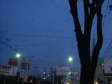 0127カラス.jpg