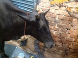 2012-08-17 13:28:17 写真1