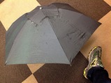 2012-09-23 08:23:17 写真1