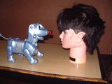 bd790323.jpg