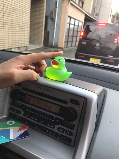 【悲報】車内にアヒルを放置した結果・・・・・・(画像あり)