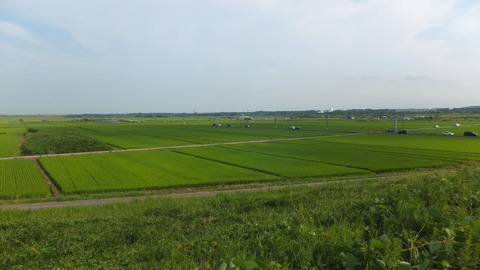 DSCF8133