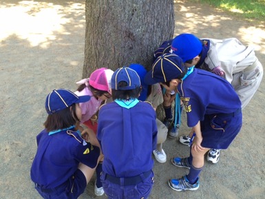 RS_150510-3