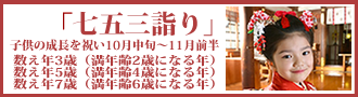 七五三P