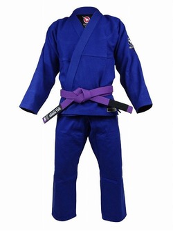 stgi3_blue_1
