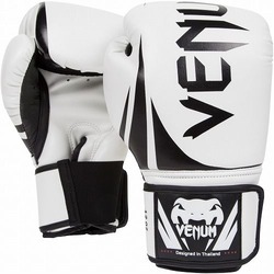 0 Boxing Gloves Ice 1