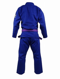 stgi3_blue_3