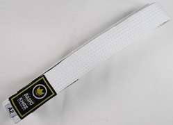 belt2