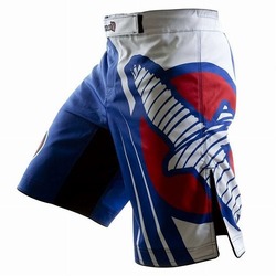 Chikara Recast Performance Shorts  Blue1