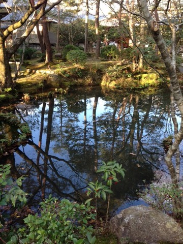 写真 (11)