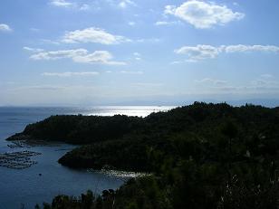 61b8aa11.jpg