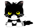 c005fbce.gif