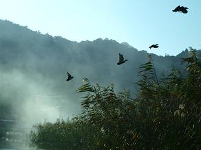d0ef278c.jpg