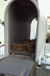 2012032517320001jtm