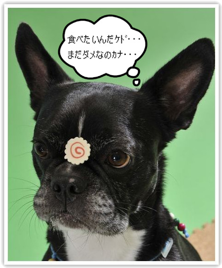 BlogPaint