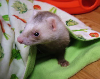 20051218