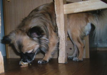 20051219