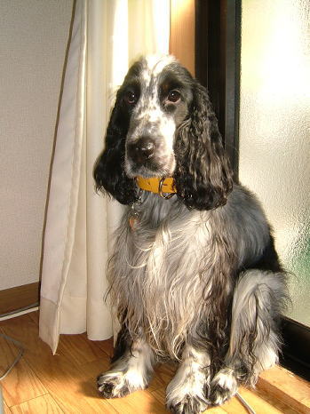 20060116