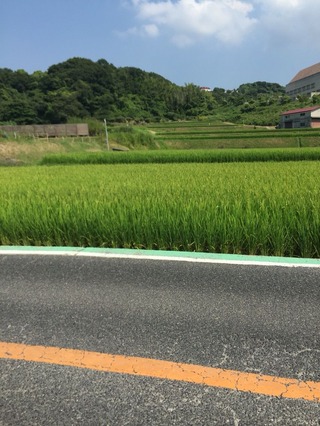 2016-08-13-14-21-37