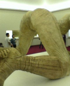 b1
