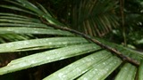 s_P1010260