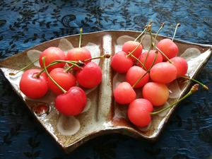 IMG_20170706_085347