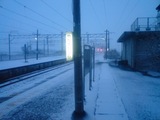 44f4f645.JPG