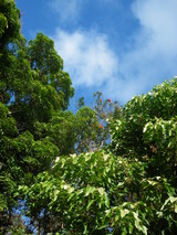 2191d1e0.jpg