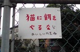 2f23b03e.jpg