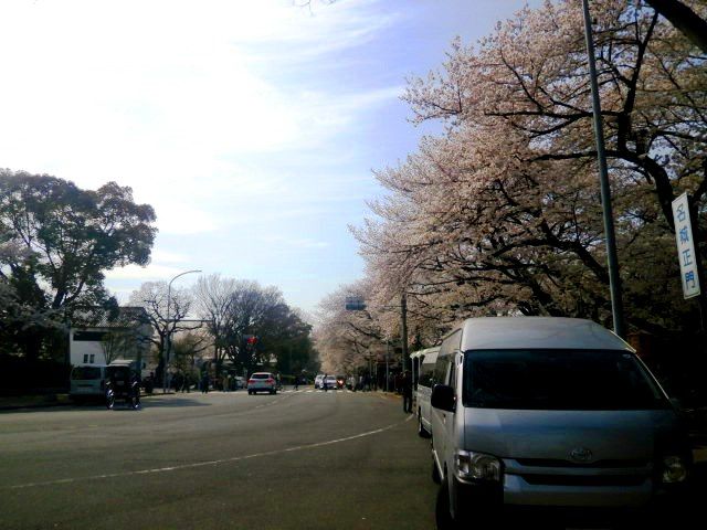 sakura20180327
