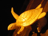 814f0b88.jpg