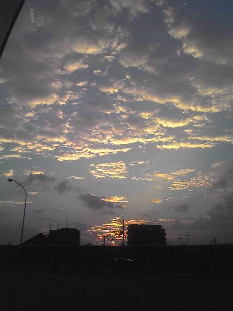 Image00291