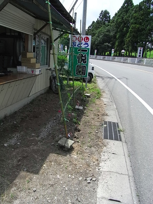 RIMG4722